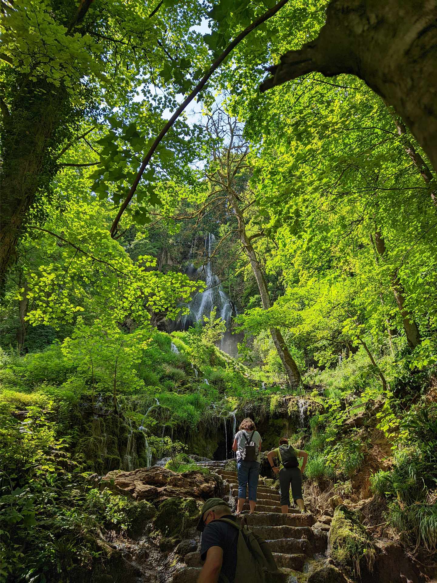 Wasserfall im Wald, davor Steintreppe, viele Felsen. Die Treppe ist vom Wasser des Wasserfalls überschwemmt